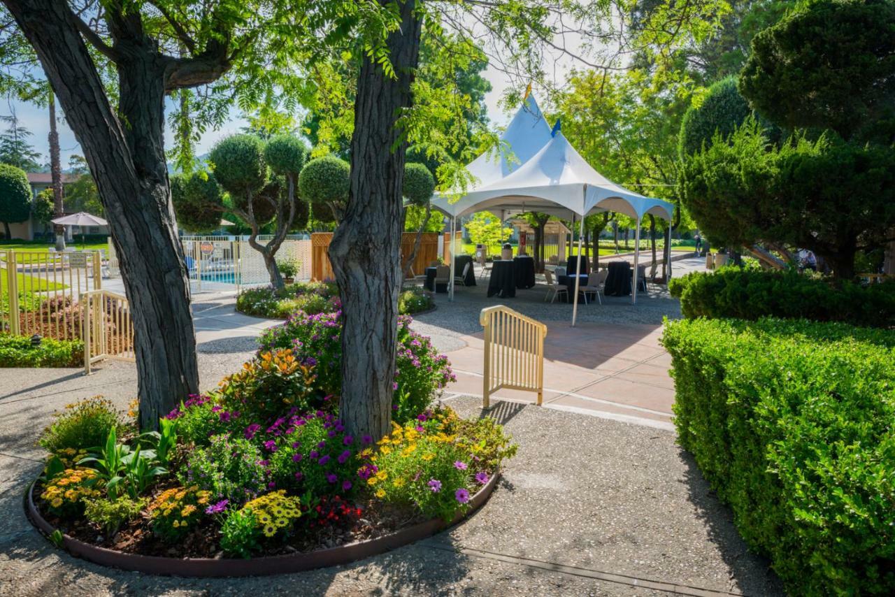Los Gatos Lodge Εξωτερικό φωτογραφία