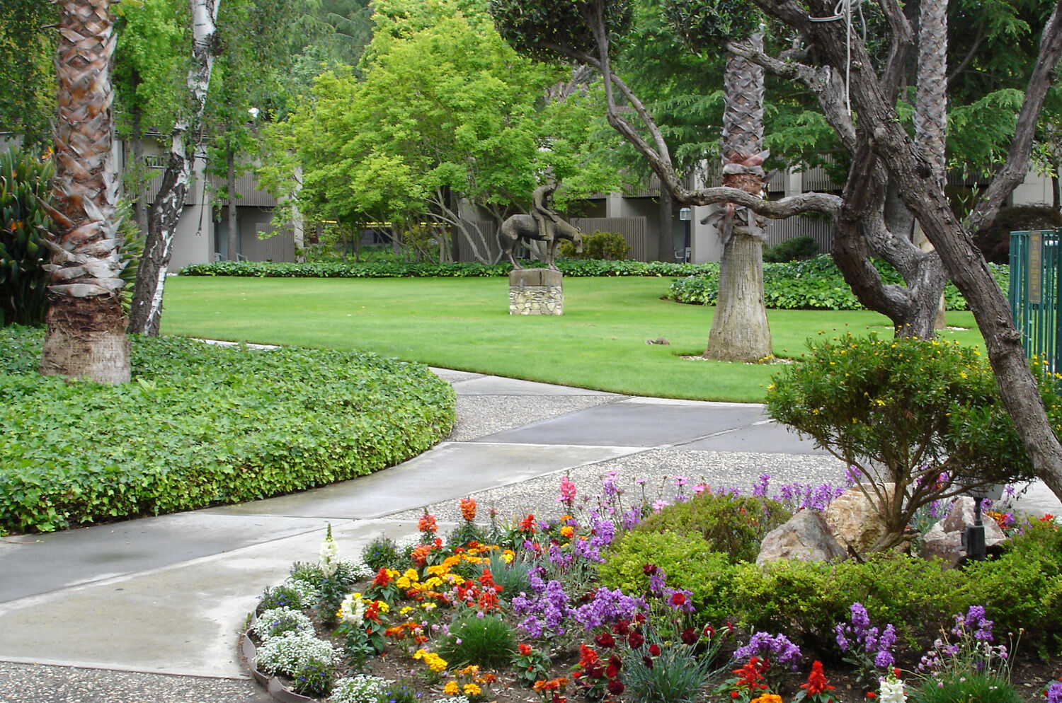 Los Gatos Lodge Εξωτερικό φωτογραφία