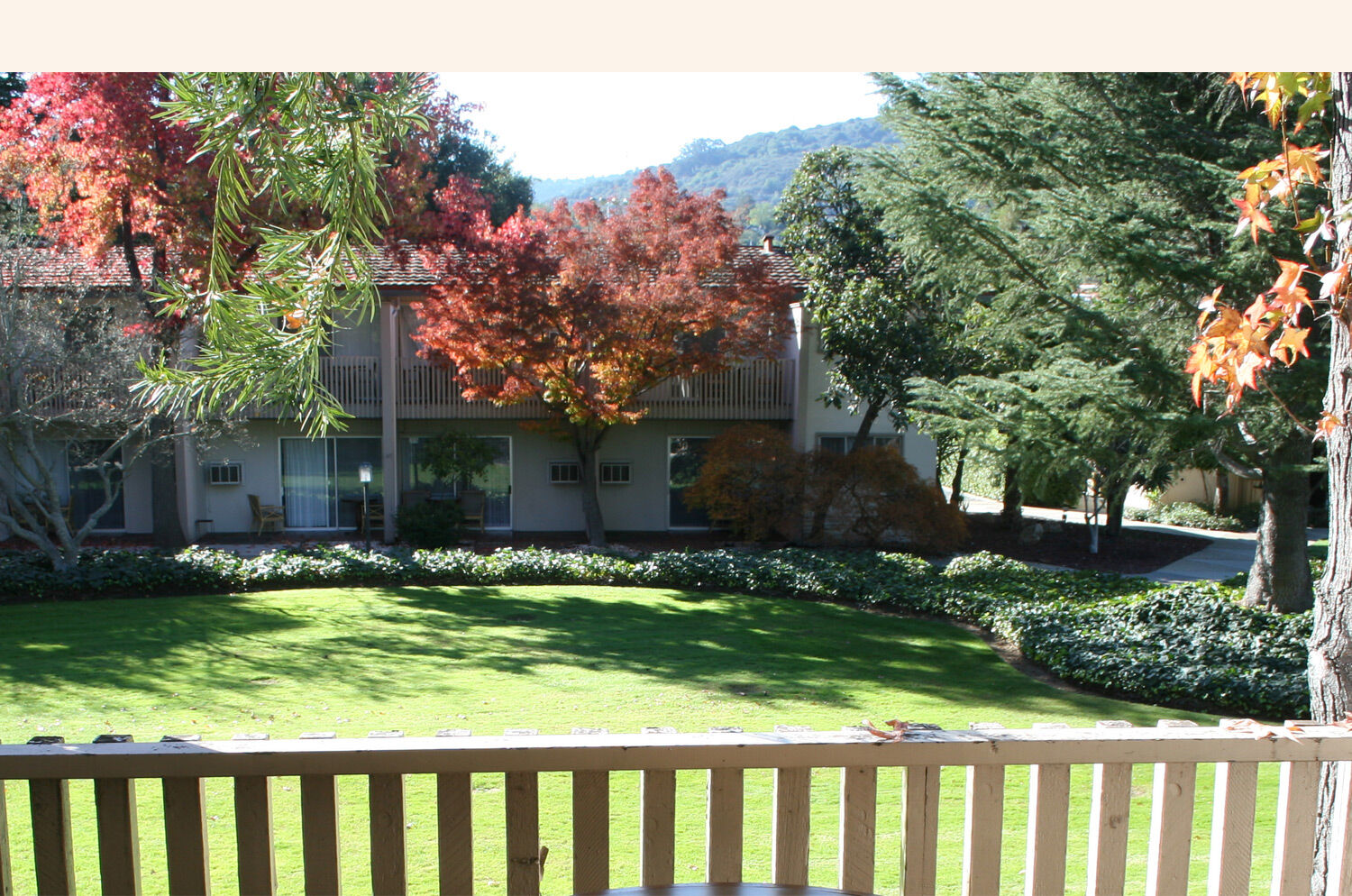 Los Gatos Lodge Εξωτερικό φωτογραφία