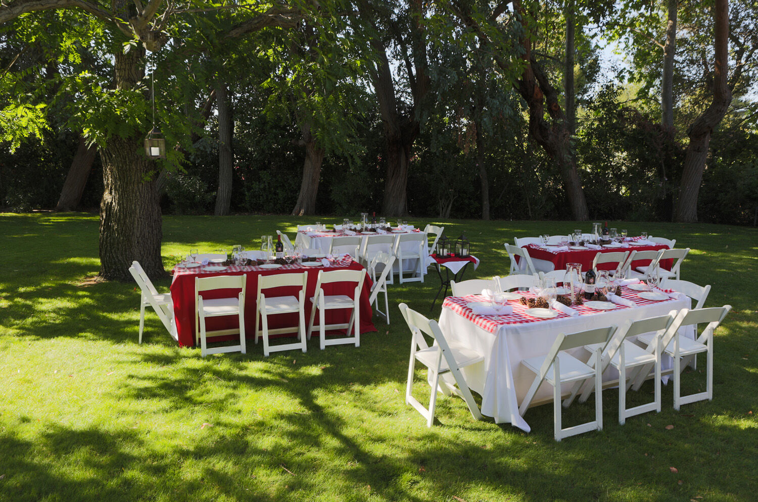 Los Gatos Lodge Εξωτερικό φωτογραφία